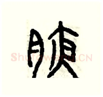 腋硬笔篆书写法,摘自曾庆福硬笔书法字帖