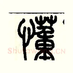 懂
