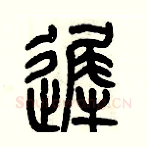 遲