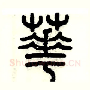芲