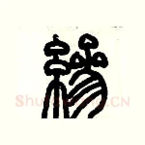 縿