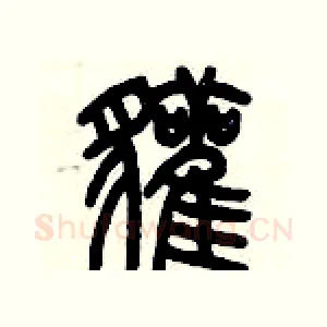獾