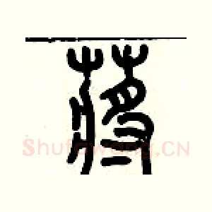 蔣