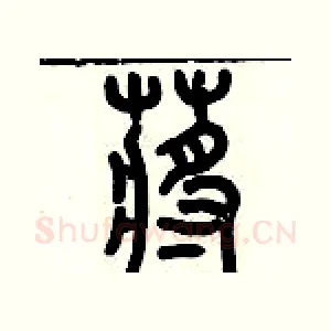 蔣
