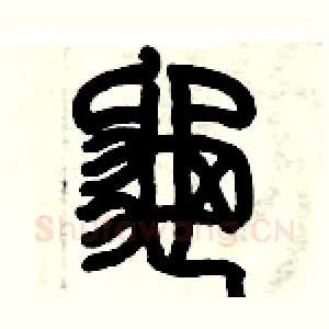 龜