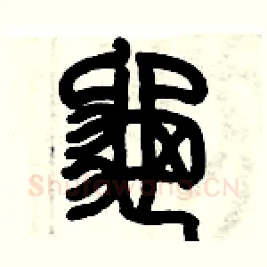 龜