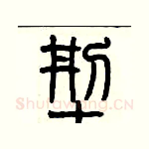 型