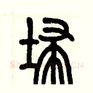 埽