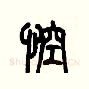 悾