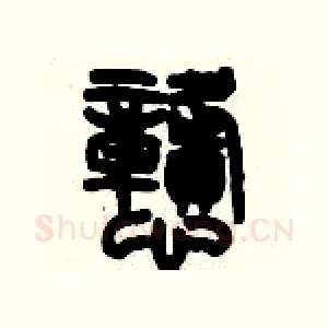 戆