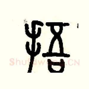 捂