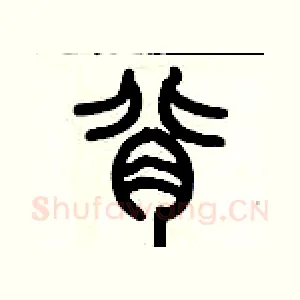 背