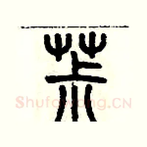 菽