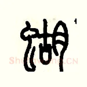 蝴