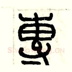 專