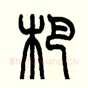 杷