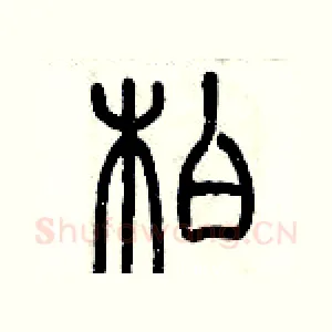 柏