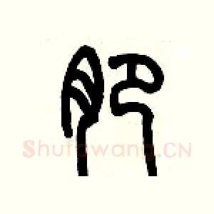 淝