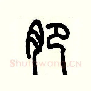 淝