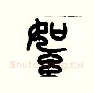 絮