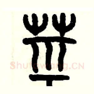 茎