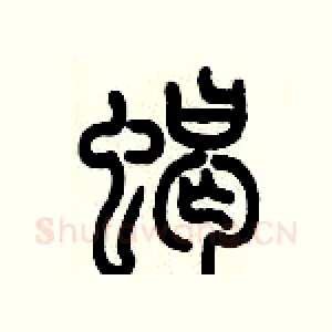 蝎
