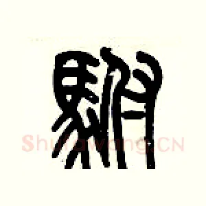 駙