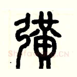 擴