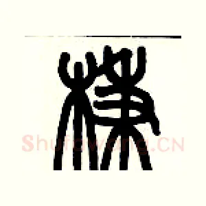 棅