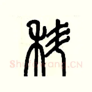 蝌