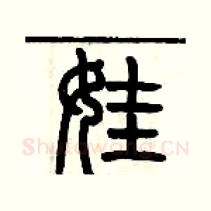 娃