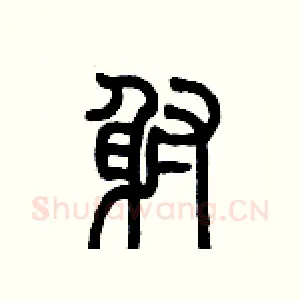 射