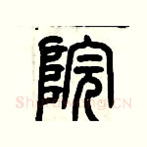 院
