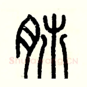 肺
