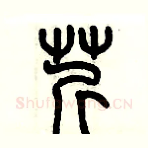 芹