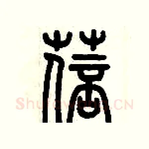 蓓