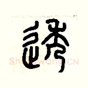 透