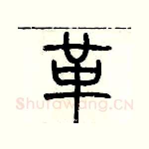 革