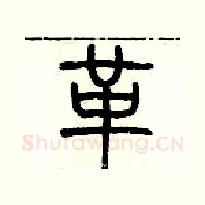 革