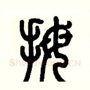 拇