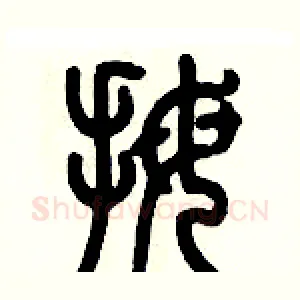 拇