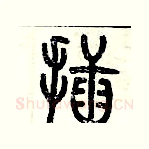 插