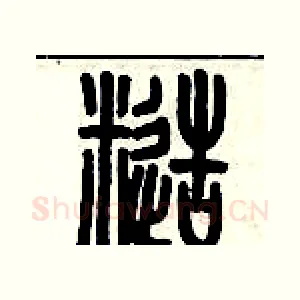 糙
