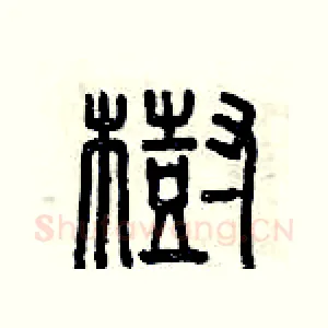 樹