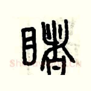 睹