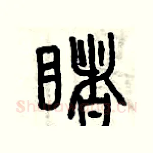 睹