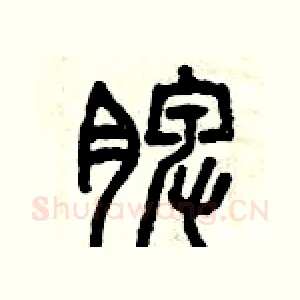 脾