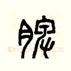 脾