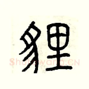 貍