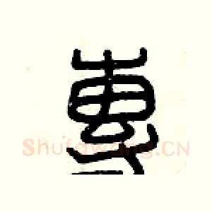 專